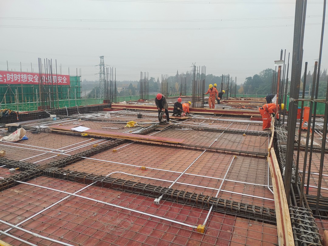 1735092259157735.jpg 4.jpg